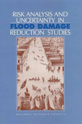 bokomslag Risk Analysis and Uncertainty in Flood Damage Reduction Studies