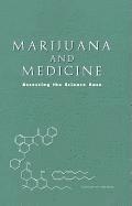 bokomslag Marijuana and Medicine
