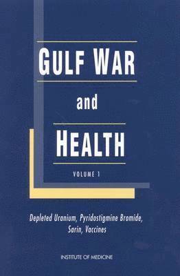 bokomslag Gulf War and Health