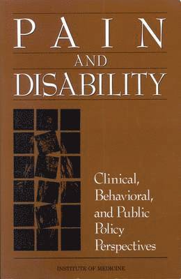 bokomslag Pain and Disability