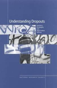 bokomslag Understanding Dropouts
