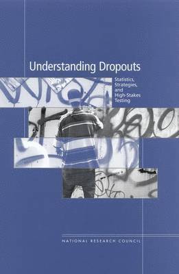 bokomslag Understanding Dropouts