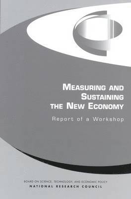bokomslag Measuring and Sustaining the New Economy