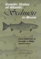 bokomslag Genetic Status of Atlantic Salmon in Maine