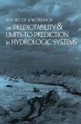 bokomslag Report of a Workshop on Predictability and Limits-To-Prediction in Hydrologic Systems
