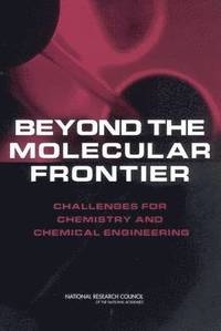 bokomslag Beyond the Molecular Frontier