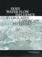 bokomslag Does Water Flow Influence Everglades Landscape Patterns?