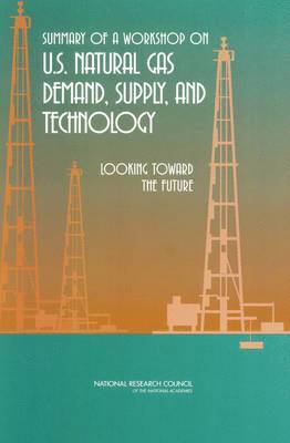 bokomslag Summary of a Workshop on U.S. Natural Gas Demand, Supply, and Technology