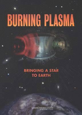bokomslag Burning Plasma