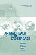 bokomslag Animal Health at the Crossroads