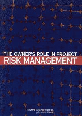 bokomslag Owner's Role in Project Risk Management