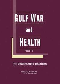 bokomslag Gulf War and Health