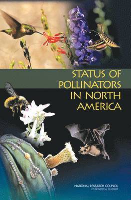 bokomslag Status of Pollinators in North America