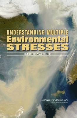 bokomslag Understanding Multiple Environmental Stresses
