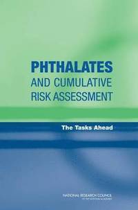 bokomslag Phthalates and Cumulative Risk Assessment