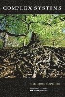 National Academies Keck Futures Initiative: Complex Systems