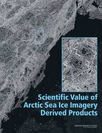 bokomslag Scientific Value of Arctic Sea Ice Imagery Derived Products