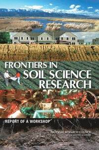 bokomslag Frontiers in Soil Science Research