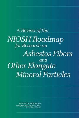 Review of the NIOSH Roadmap for Research on Asbestos Fibers and Other Elongate Mineral Particles