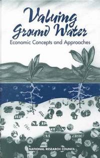 bokomslag Valuing Ground Water