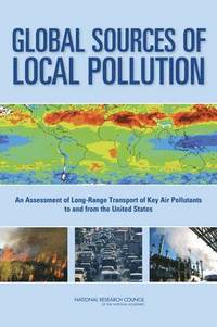 bokomslag Global Sources of Local Pollution