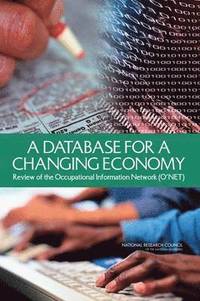 bokomslag Database for a Changing Economy