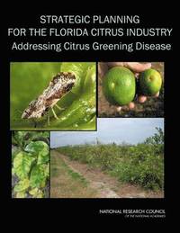 bokomslag Strategic Planning for the Florida Citrus Industry