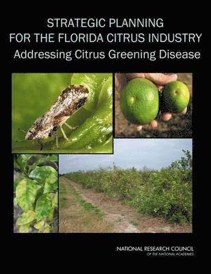 bokomslag Strategic Planning for the Florida Citrus Industry