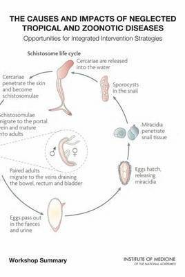 bokomslag Causes and Impacts of Neglected Tropical and Zoonotic Diseases