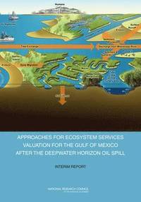 bokomslag Approaches for Ecosystem Services Valuation for the Gulf of Mexico After the Deepwater Horizon Oil Spill