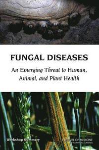 bokomslag Fungal Diseases
