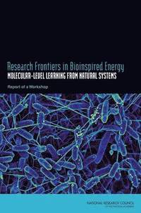 bokomslag Research Frontiers in Bioinspired Energy