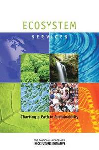 bokomslag Ecosystem Services