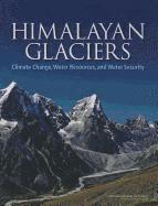 bokomslag Himalayan Glaciers