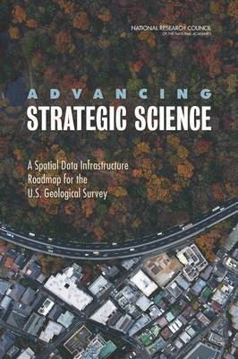 bokomslag Advancing Strategic Science