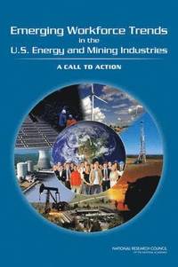 bokomslag Emerging Workforce Trends in the U.S. Energy and Mining Industries