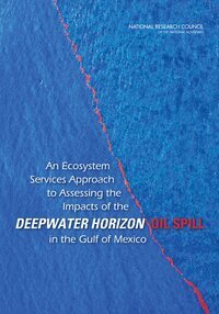 Ecosystem Services Approach to Assessing the Impacts of the Deepwater Horizon Oil Spill in the Gulf of Mexico