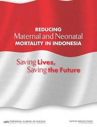 bokomslag Reducing Maternal and Neonatal Mortality in Indonesia