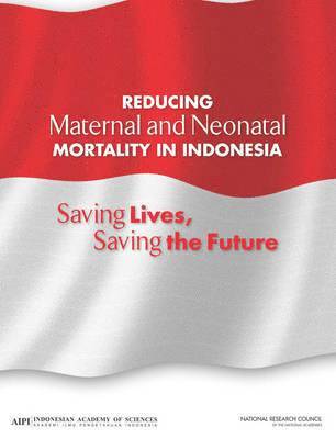 Reducing Maternal and Neonatal Mortality in Indonesia 1