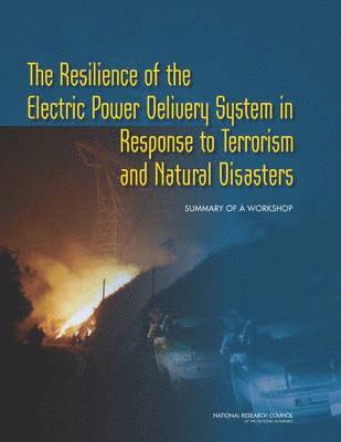 bokomslag The Resilience of the Electric Power Delivery System in Response to Terrorism and Natural Disasters