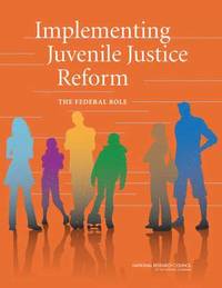 bokomslag Implementing Juvenile Justice Reform