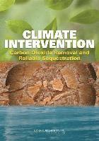 bokomslag Climate Intervention