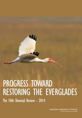 Progress Toward Restoring the Everglades