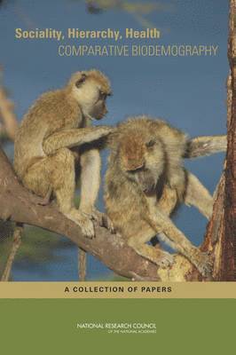 National Research Council, Division of Behavioral and Social Sciences and Education, Committee on Population, Division of Behavioral and Social Scienc, Meredith A. Lane, Maxine Weinstein, Meredith A Lane - Sociality, Hierarchy, Health, Häftad