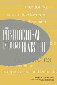 bokomslag The Postdoctoral Experience Revisited