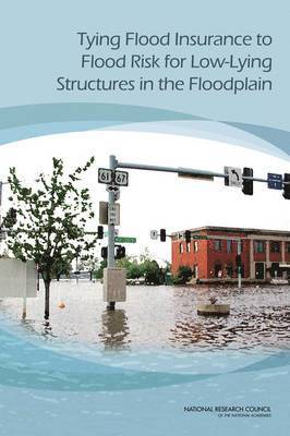 bokomslag Tying Flood Insurance to Flood Risk for Low-Lying Structures in the Floodplain