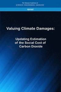 bokomslag Valuing Climate Damages