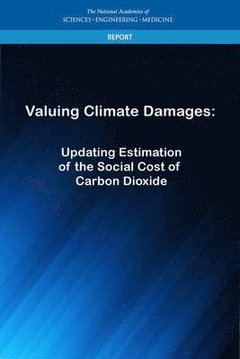 bokomslag Valuing Climate Damages