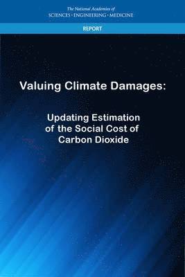 Valuing Climate Damages