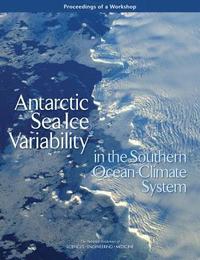 bokomslag Antarctic Sea Ice Variability in the Southern Ocean-Climate System